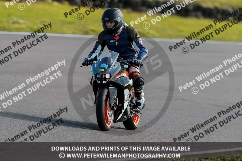 PJ Motorsport 2019;anglesey no limits trackday;anglesey photographs;anglesey trackday photographs;enduro digital images;event digital images;eventdigitalimages;no limits trackdays;peter wileman photography;racing digital images;trac mon;trackday digital images;trackday photos;ty croes